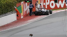 Paul di Resta s vozem Force India