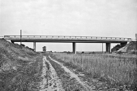 Typick most pes dlnici (1965)