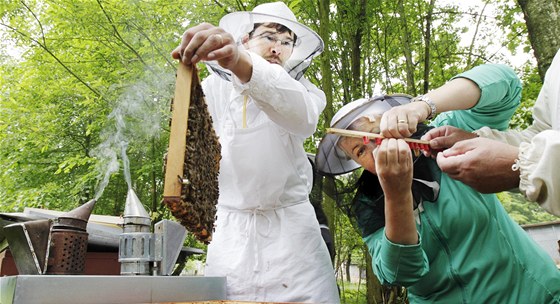 Studenti včelařské školy v Nasavrkách při praktické výuce