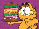 Garfield slaví 35. narozeniny (přebal knihy)