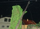 Silný vítr v Krnov trhal stechy  a vyvracel stromy i sloupy s elektrickými
