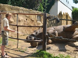 A protoe je to africká zoo, tak si vtina z nich vedro dokonce vychutnává....