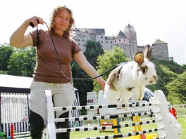 Králičí hop. Novou sportovní disciplínu prezentovala cvičitelka Lada Šípová