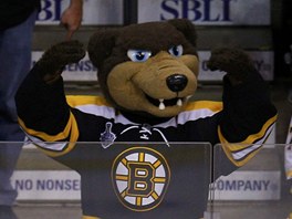 MEDVDI, DO TOHO! Boston Bruins a jejich fanouci mají lepí náladu ne Chicago