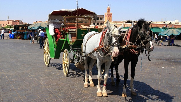 Náměstí Jamae de Fna je centrem veškerého turistického dění v Marrákeši. Movití turisté se často nechávají vozit koňským spřežením.