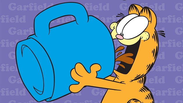Garfield slav 35. narozeniny (pebal knihy)