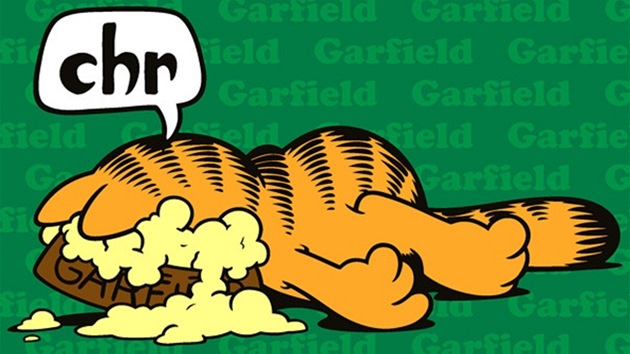 Garfield slav 35. narozeniny (pebal knihy)