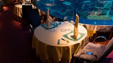 V restauraci Al Mahara je umístěno obrovské akvárium s 990 tisíci litry vody....