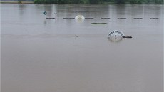 Vltava pomalu opadá. Ve chvíli kulminace hloubka v cílové rovince p�esahovala...