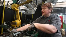 Slavnostní otevení logistického centra ACO Industries v Pibyslavi v roce 2019. Ped novou halou se skvla nerezová plastika lidské hlavy s mozkem uvnit od Davida erného, zmenenina jeho slavného výtvoru. Známý výtvarník s firmou spolupracuje u roky.