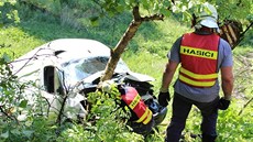 Dodávku u erpací stanice v Kolinci idi nezabrzdil runí brzdou a auto sjelo pes silnici do potoka. Na zadním sedadle byla ena s díttem. Vyvázly bez zranní.