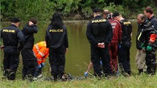 Tlo se zachytilo o vtve stromu vynívajícího z eky. 