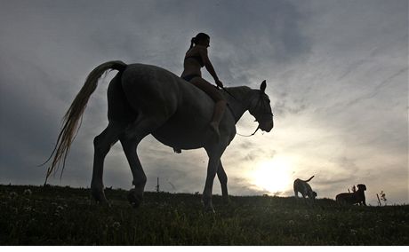 Pímstské táboty nabízejí rozmanitý prpgram od technickéhjo zamení a po pobyt s komi na farm v Újezdu nade Mí. Ilustraní foto