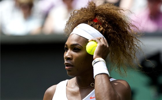 PIJME NABÍDKU? Americká tenistka Serena Williamsová se moná utká s Britem Andym Murraym.