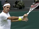 Roger Federer a jeho precizní hra v utkání s Victorem Hanescuem. 