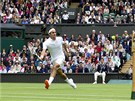 TRADINÍ OBLÍBENEC. Roger Federer ped zaplnným wimbledonským publikem.