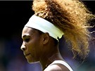 Serena Williamsová v utkání s Mandy Minellaovou.