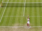 SAMA V TRÁV. eská tenistka Petra Kvitová hraje 3. kolo Wimbledonu.