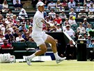 NA SÍTI. eský tenista Tomá Berdych pedvádí volej ve 3. kole Wimbledonu.