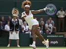 FORHEND JEDNIKY. Svtová jednika Serena Williamsová bojuje v utkání 1. kola