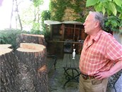 Minulý týden byl ped Jazzovou sekcí pokácen památkov chránný strom.