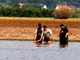 Rybái na Litomicku zachraují ryby, které po opadnutí povodn uvázly v...