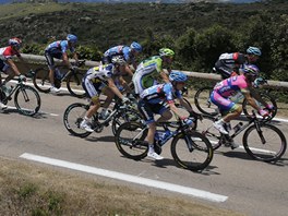 PELOTON. Úvodní etapa letoní Tour de France se jela na Korsice. Cyklisty...