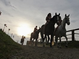 Slunce rozpálilo i jinak chladnjí Vysoinu. Ve vedru trpí hlavn vtí...