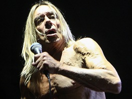 Punkový kmotr Iggy Pop koncertoval 22. ervna 2013 ve Frýdku-Místku se svou...