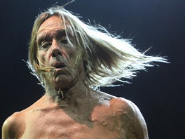 Punkový kmotr Iggy Pop koncertoval 22. ervna 2013 ve Frýdku-Místku se svou...