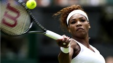 PIJME NABÍDKU? Americká tenistka Serena Williamsová se moná utká s Britem Andym Murraym.