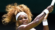 PIJME NABÍDKU? Americká tenistka Serena Williamsová se moná utká s Britem Andym Murraym.