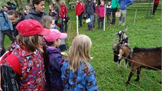 Kouzlo ivota na statku mete v praské Hostivai objevit, ani byste vyjeli z...