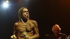 Punkový kmotr Iggy Pop koncertoval 22. června 2013 ve Frýdku-Místku se svou...