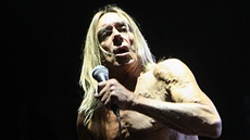 Punkový kmotr Iggy Pop koncertoval 22. ervna 2013 ve Frýdku-Místku se svou...