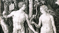 Albrecht Dürer, Adam a Eva