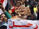 Protestovat proti prezidentovi Mursímu pily tisíce lidí.