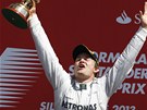 DOKÁZAL JSEM TO. Nmec Nico Rosberg se raduje z triumfu ve Velké cen Británie