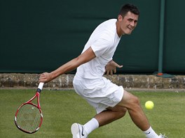 Bernard Tomic ve Wimbledonu