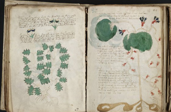 Pohled do Voynichova rukopisu