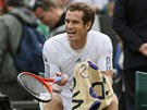 CO SE TO DJE?! Britský tenista Andy Murray se na sebe zlobí bhem tvrtfinále