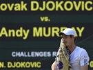 JE TO DINA. Andy Murray si otírá obliej runíkem bhem wimbledonského finále.