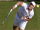 KAM DOLETÍ? Tomá Berdych  po podání v zápase 4. kola Wimbledonu proti Bernardu