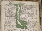 Stránka z "biologického" oddílu Voynichova rukopisu. ást je plná drobných...