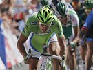 Slovenský cyklista Peter Sagan (vlevo) se ítí v ele pelotonu do cíle 7. etapy