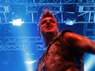 Z vystoupení kapely Papa Roach na festivalu Rock for People (3. ervence 2013)