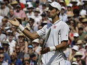 SRBSK ZLOBA. Novak Djokovi diskutuje s rozhodm bhem wimbledonskho finle.