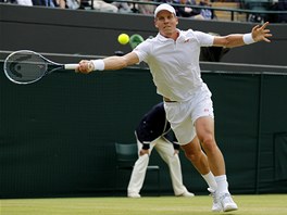 JET KOUSEK. Tom Berdych ve tvrtfinle WImbledonu proti Novaku Djokoviovi.