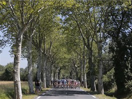 OSMÁ ETAPA. Cyklisté na Tour de France se poprvé vydali do pyrenejských kopc....