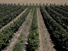 KOLEM VINIC. Osm etapa Tour de France.